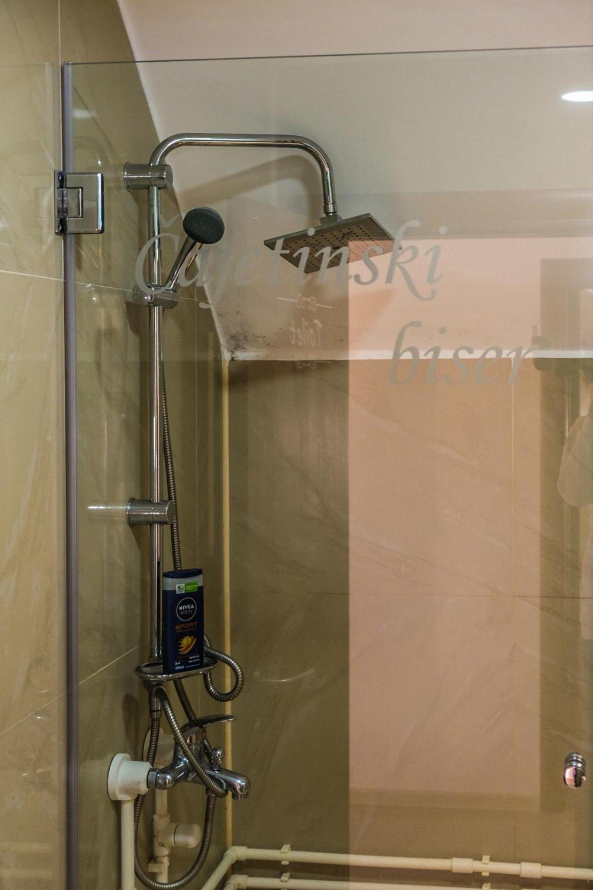 קופאוניק Vila Cajetinski Biser -Apartment Lux מראה חיצוני תמונה